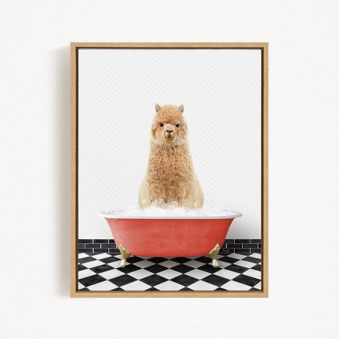 A fluffy brown dog sitting in a red bathtub filled with water, with a black and white checkered floor in the background.