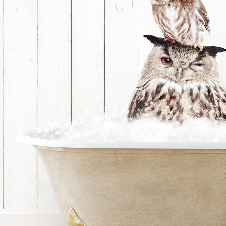 an owl sitting on top of another owl in a bathtub