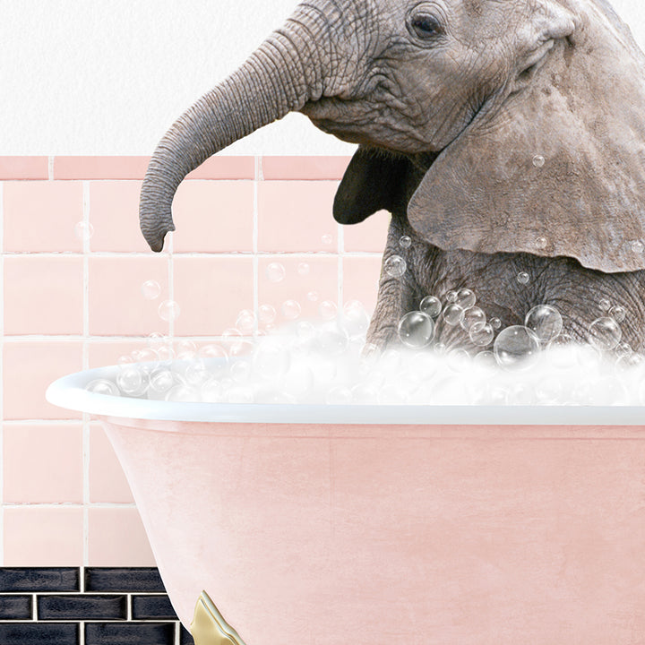 a baby elephant in a bathtub with bubbles