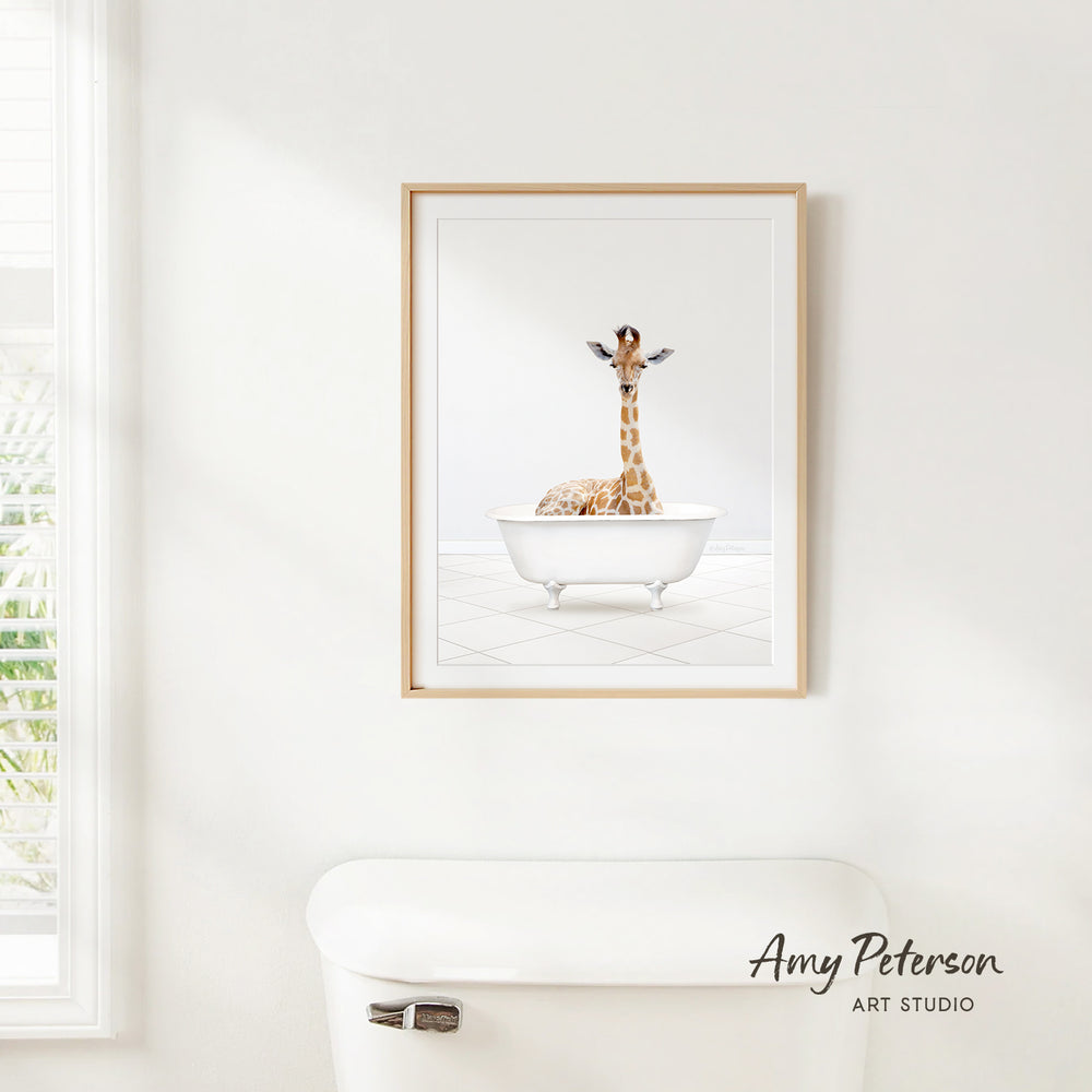 A giraffe is sitting in a white bathtub, which is hanging on a white wall.