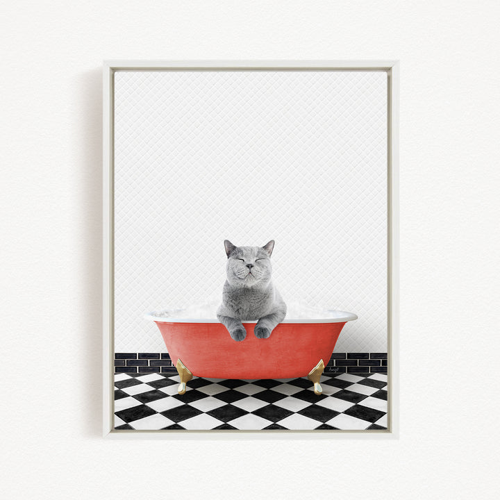 A gray cat sitting in a red bathtub filled with bubbles, with a black and white checkered floor in the background.