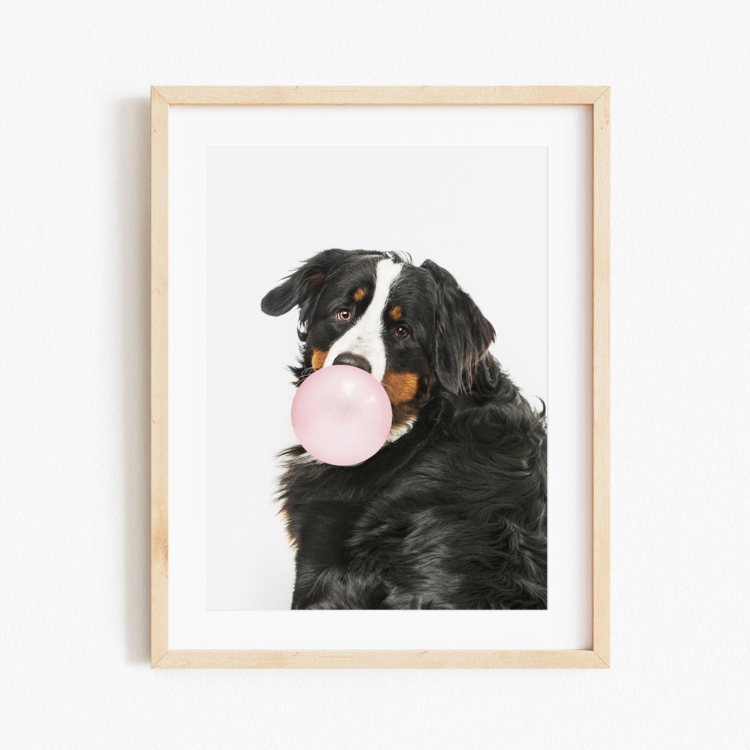 a black and white dog chewing on a pink bubble