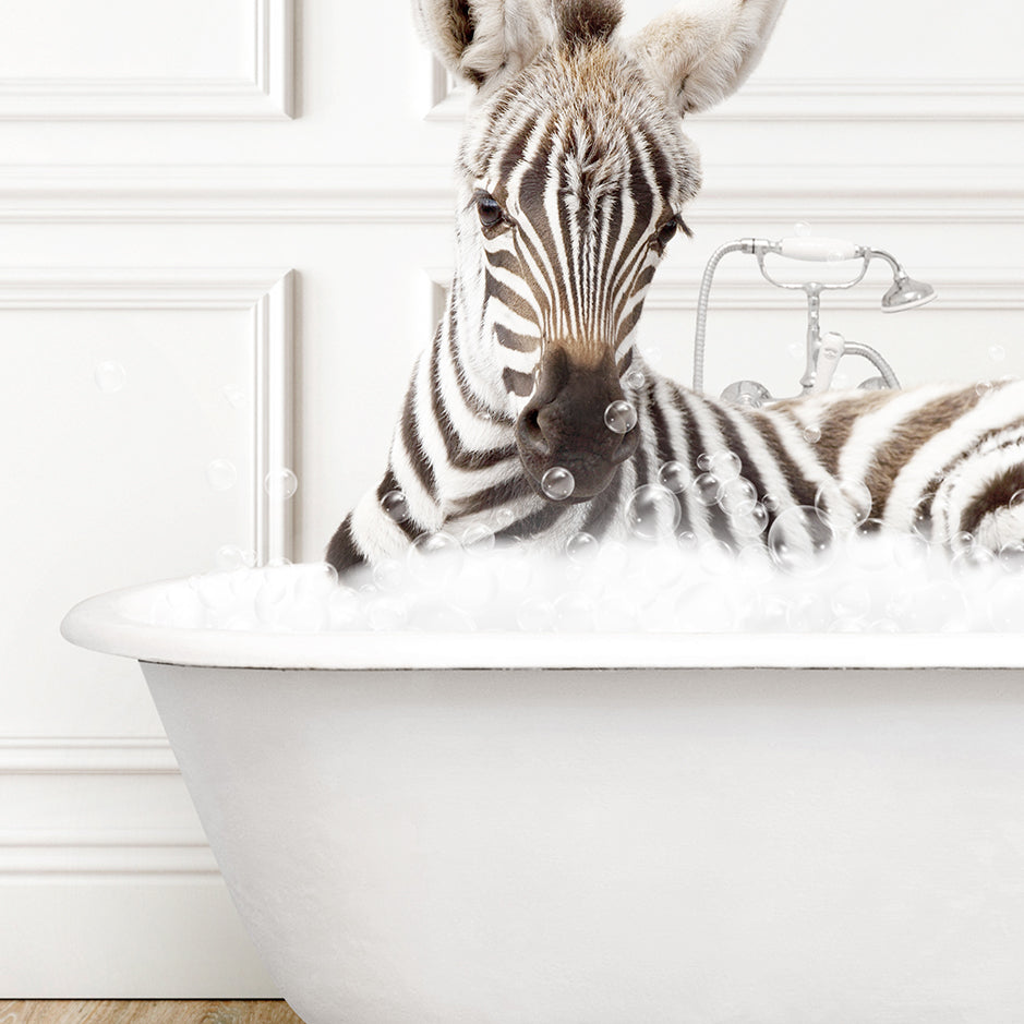 a zebra laying down in a bath tub