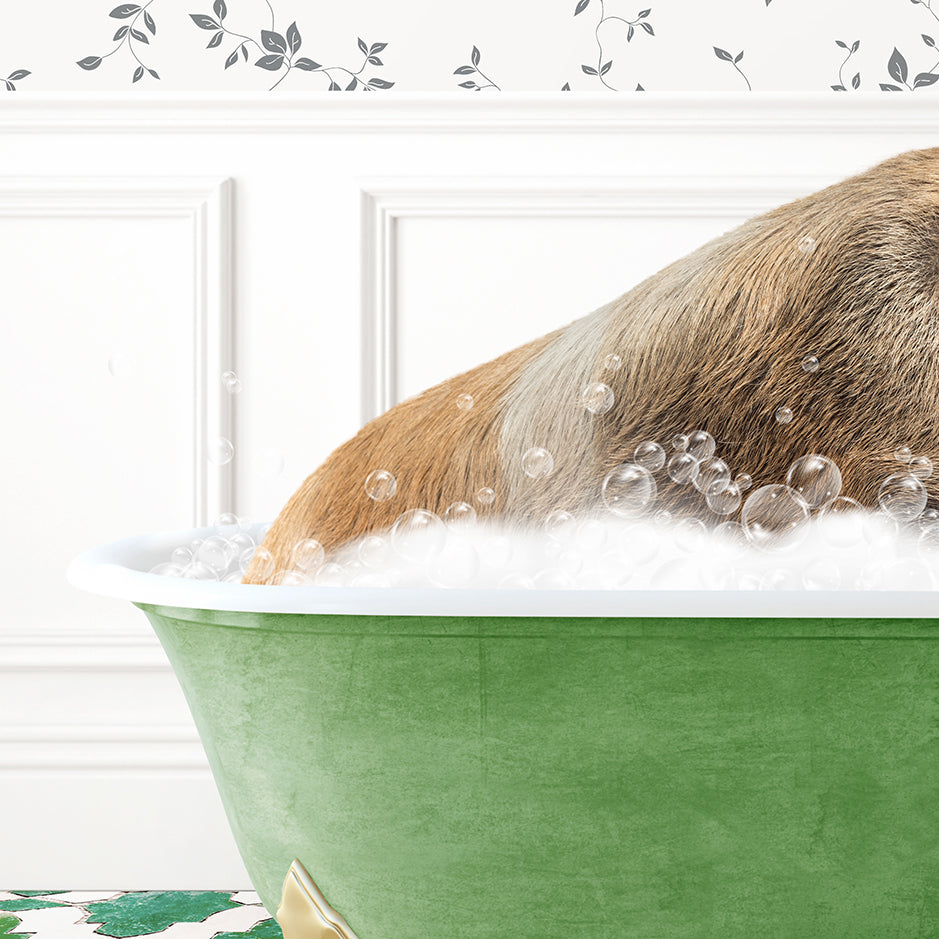 a dog taking a bath in a green bathtub