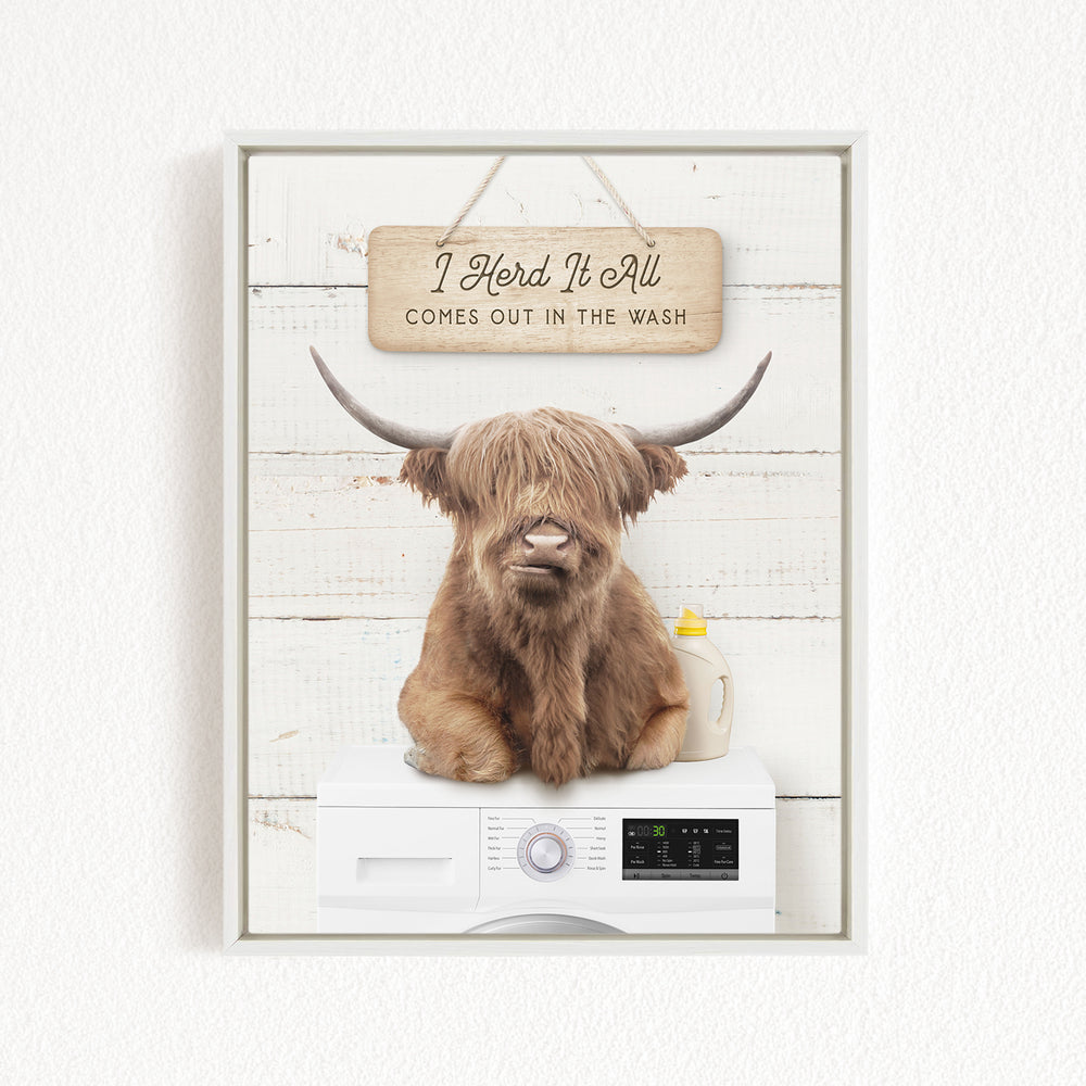 A framed image of a Highland cow with long horns sitting on top of a washing machine, with a sign above that says "I Herd It All Comes Out in the Wash".