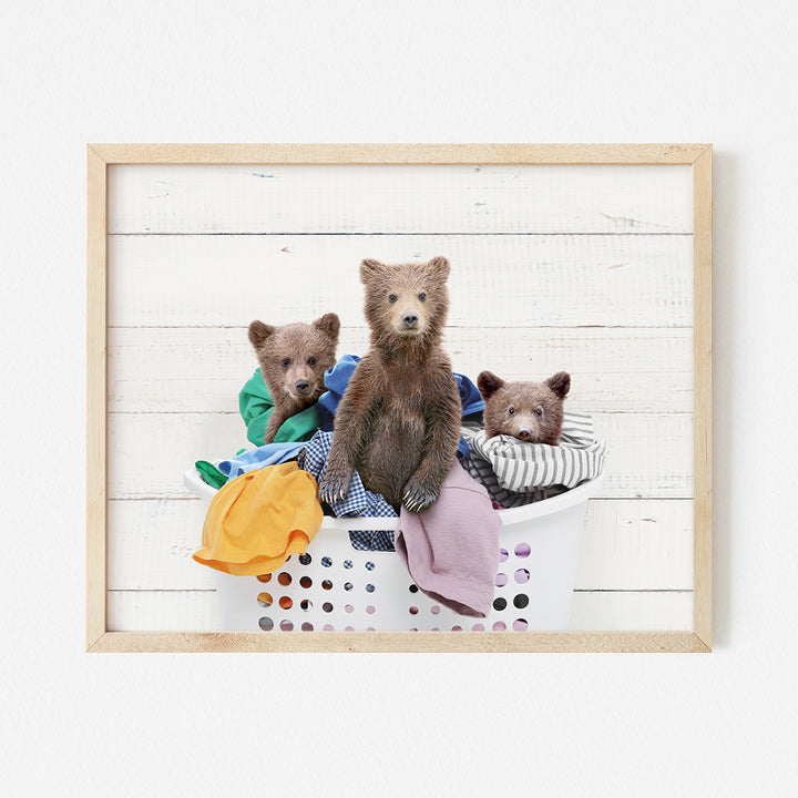 a picture of three bears sitting in a laundry basket