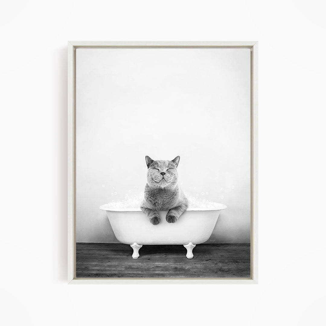 A cat sitting in a white bathtub filled with water, looking at the camera with a relaxed expression.