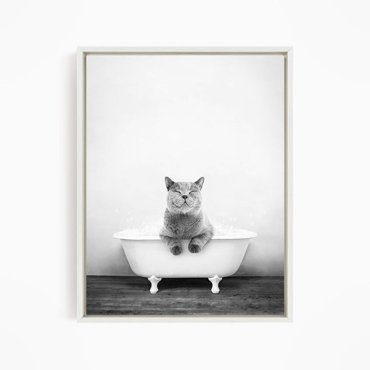 A cat sitting in a white bathtub filled with water, looking at the camera with a relaxed expression.