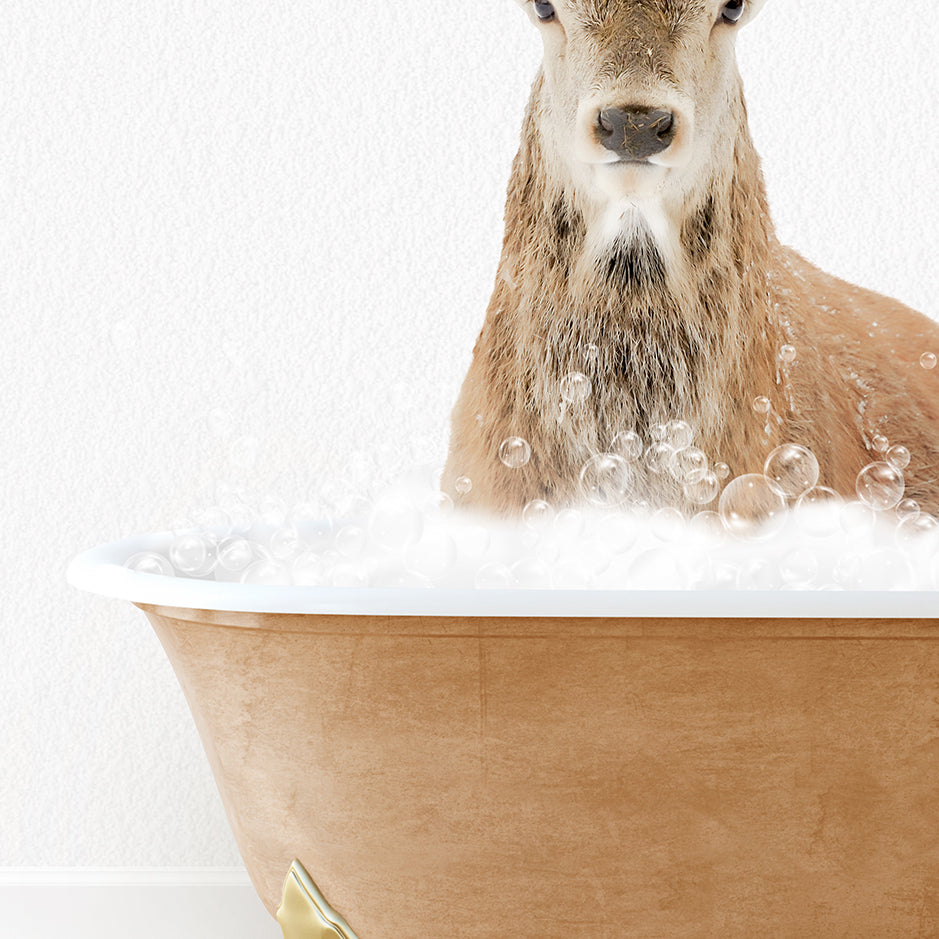 a deer is sitting in a bathtub full of bubbles