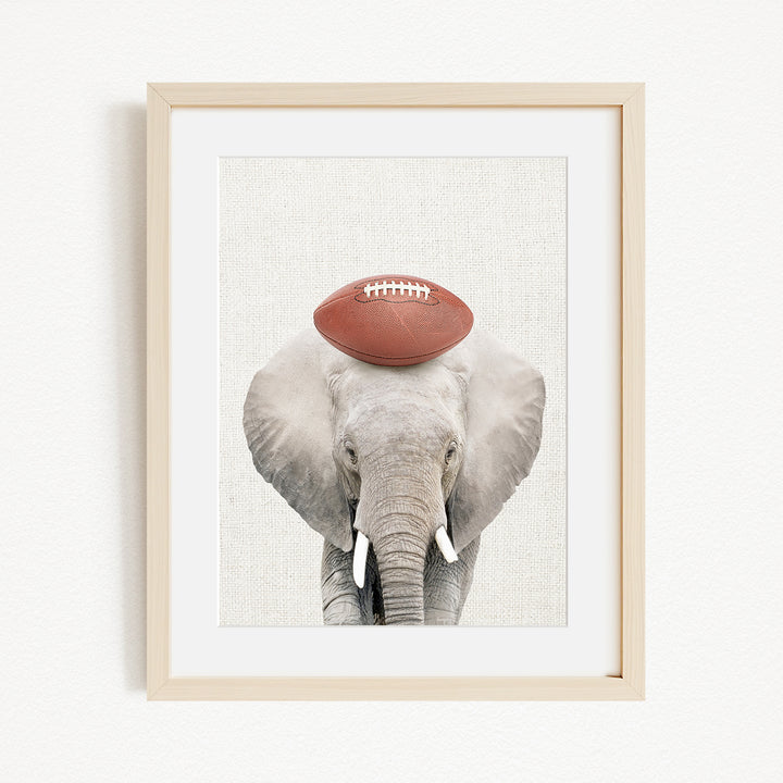 A framed image of an elephant holding a football on its head.