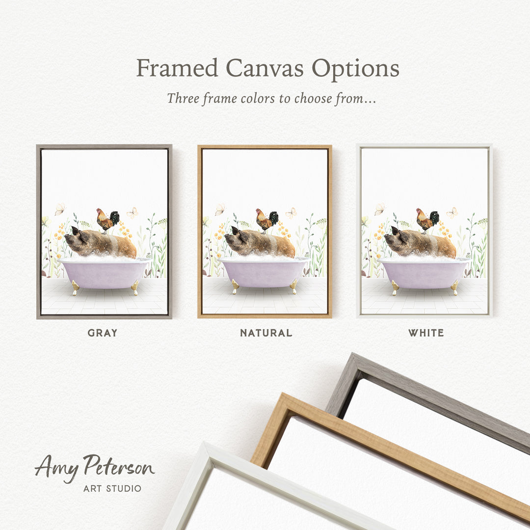 three framed canvas options, each featuring a different color: gray, natural, and white. The text above the images reads " Framed Canvas Options" and "Three frame colors to choose from...". The bottom of the image includes the text " Amy Peterson ART STUDIO".