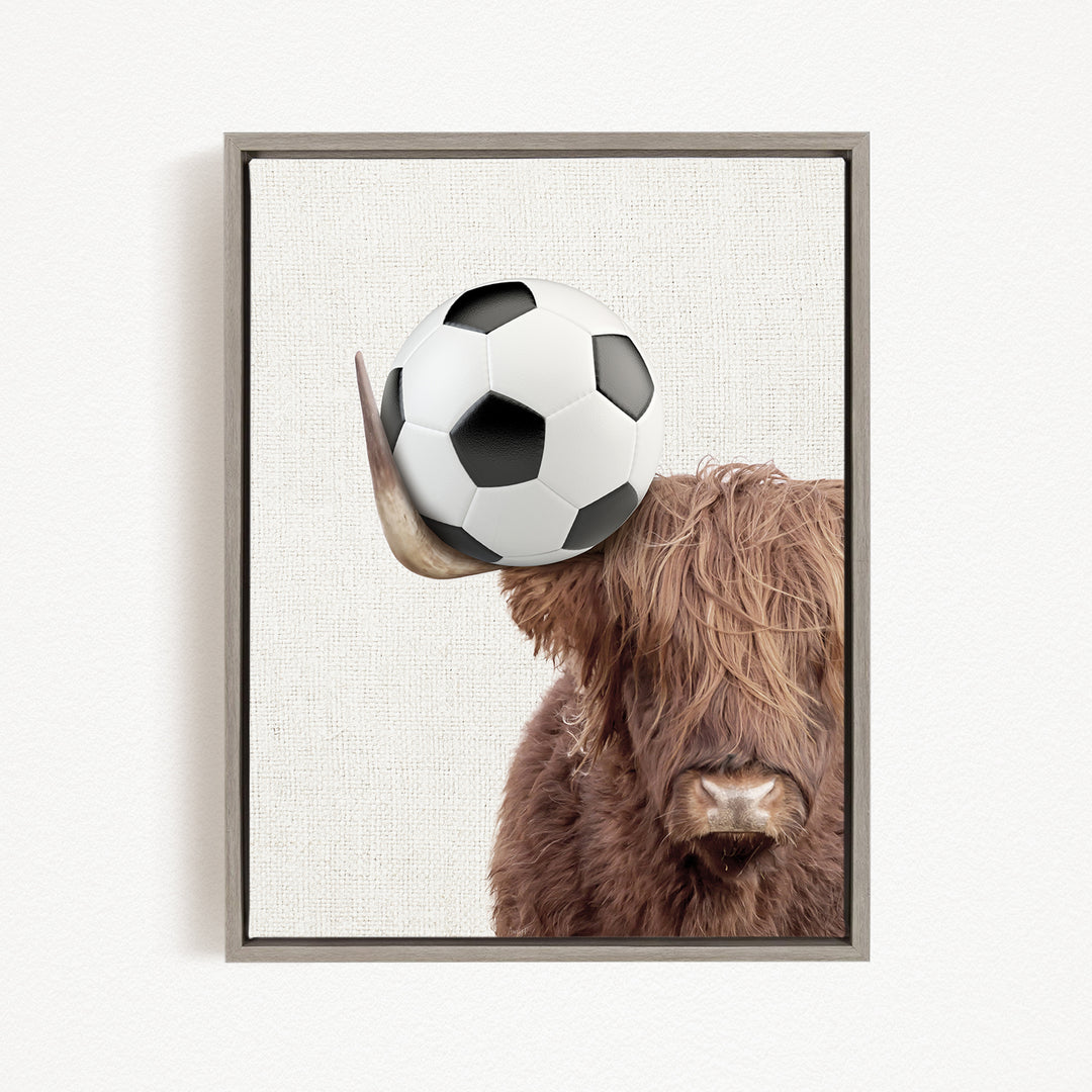 A framed image of a Highland cow with a soccer ball on its head.