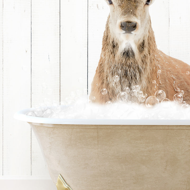 a deer is sitting in a bathtub full of bubbles