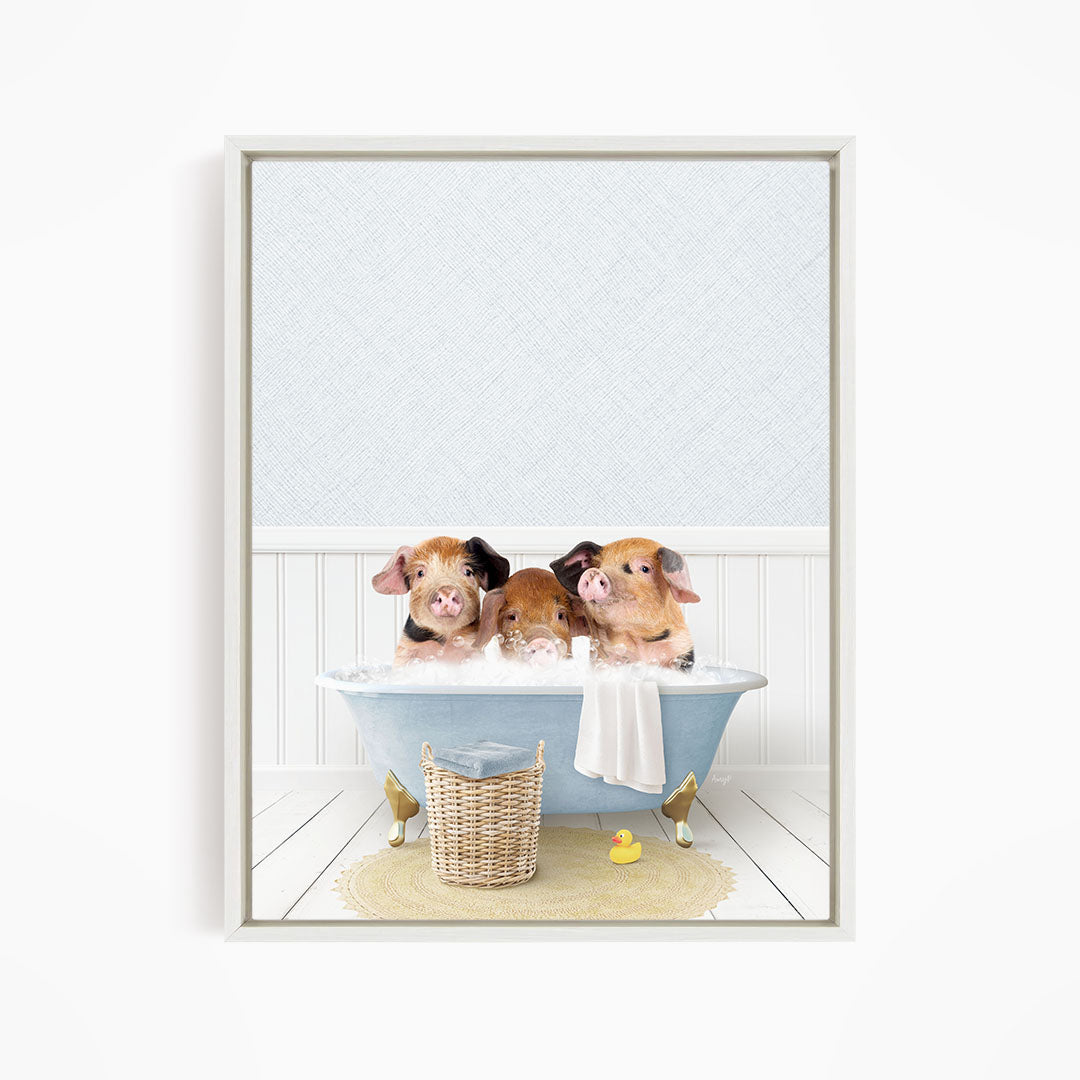 Three adorable pigs sitting in a blue bathtub, enjoying a relaxing bath together.