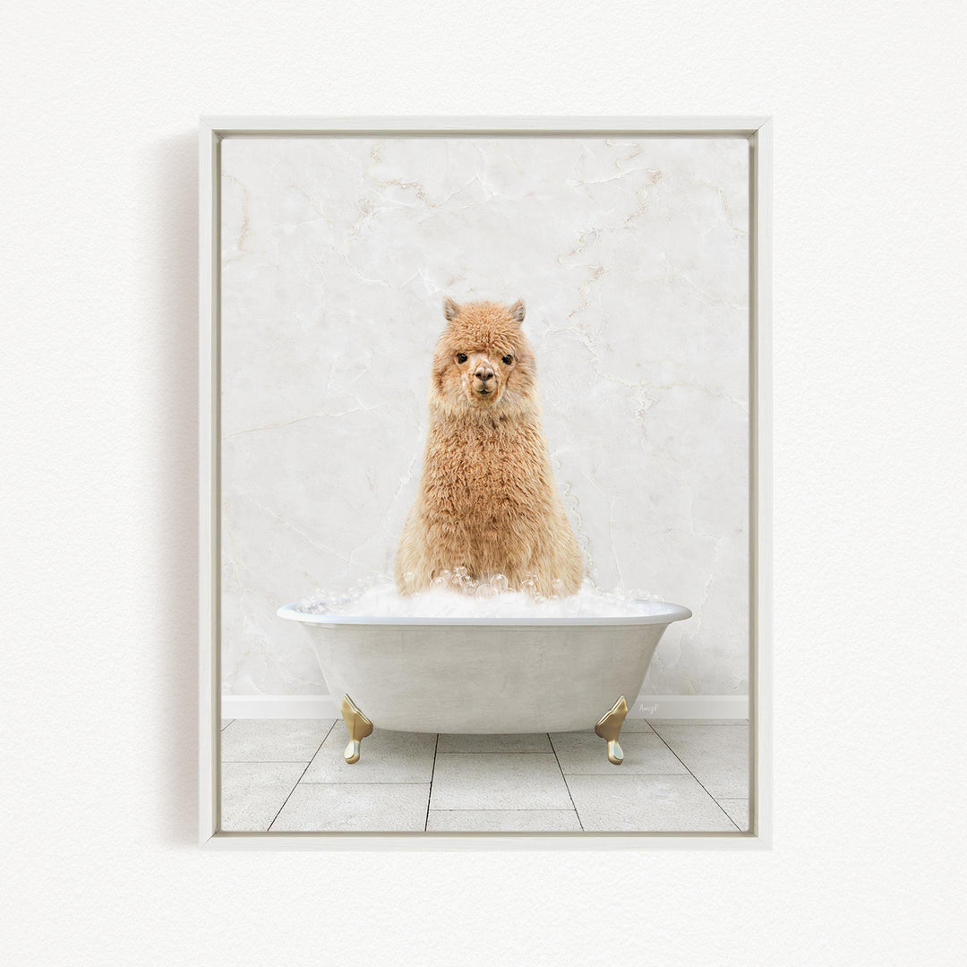 A fluffy alpaca sitting in a white bathtub filled with bubbles, looking directly at the camera.