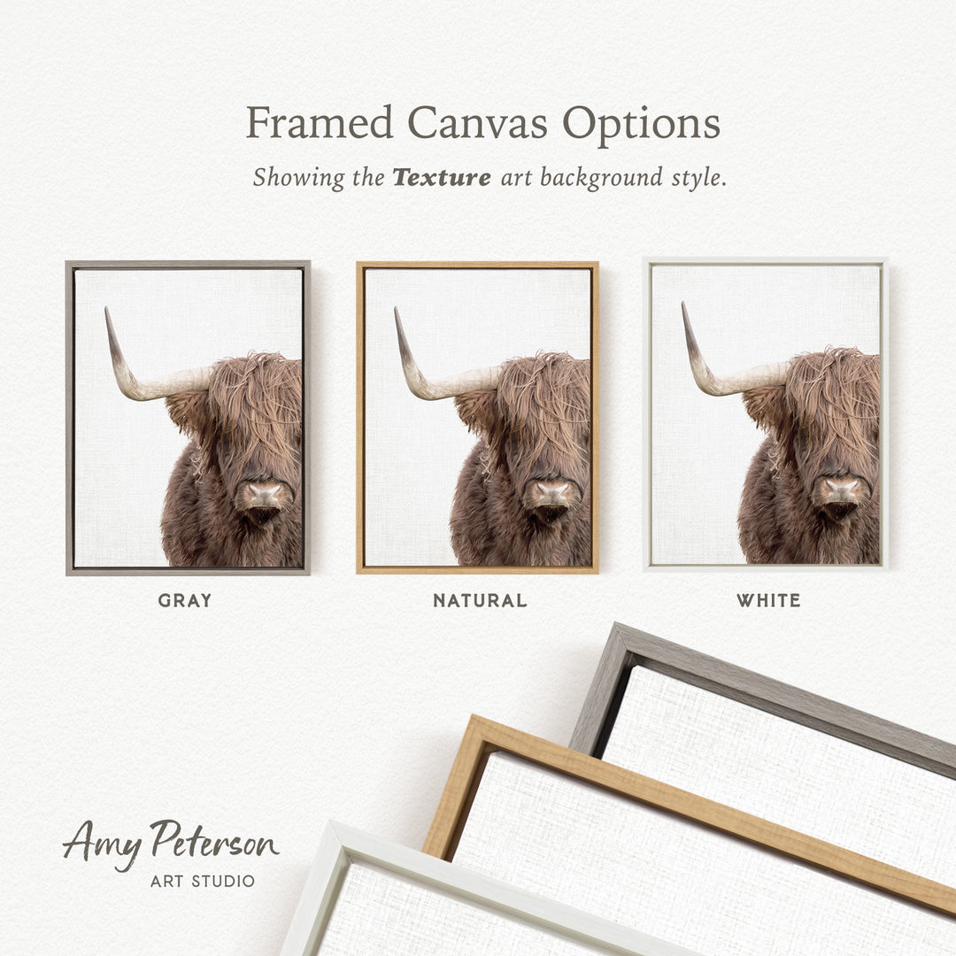 three framed canvas options, each with a different background color: gray, natural, and white. The text above the canvas options reads " Framed Canvas Options" and "Showing the Texture art background style."