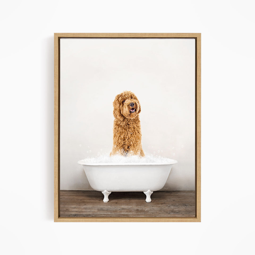 A brown dog sitting in a white bathtub filled with water, appearing to be enjoying a bath.