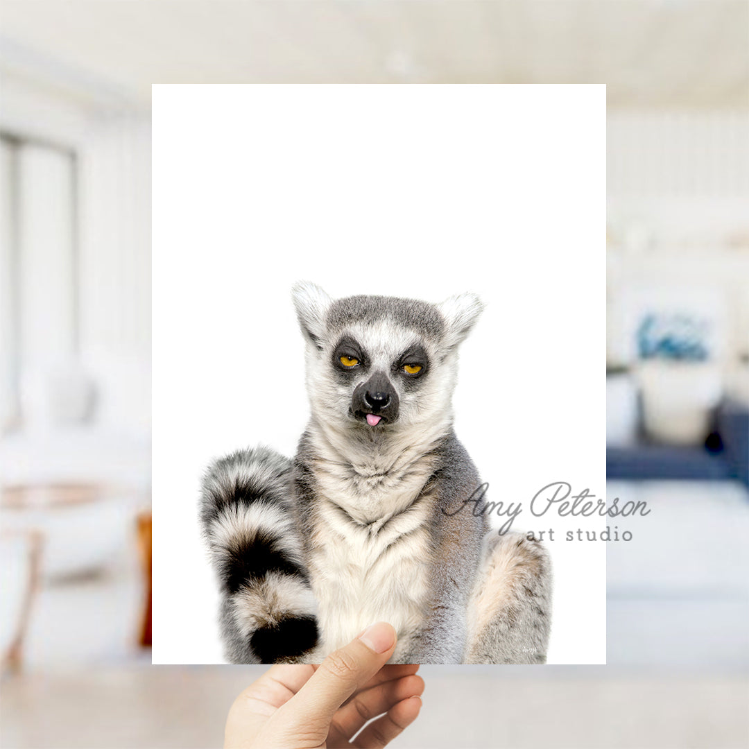 a hand holding a picture of a ring tailed lemur