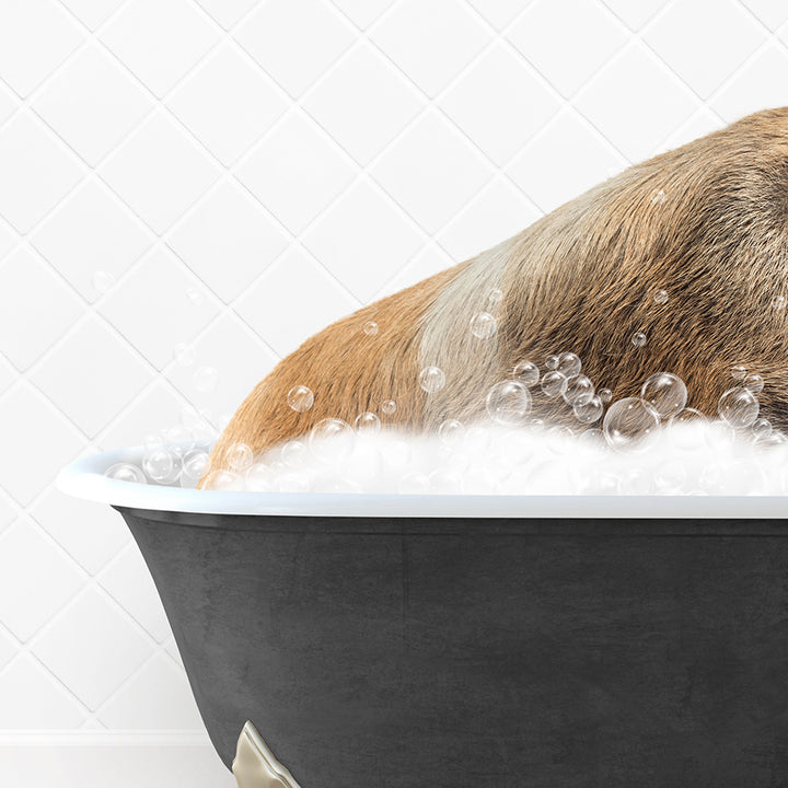 a dog taking a bath in a black bathtub