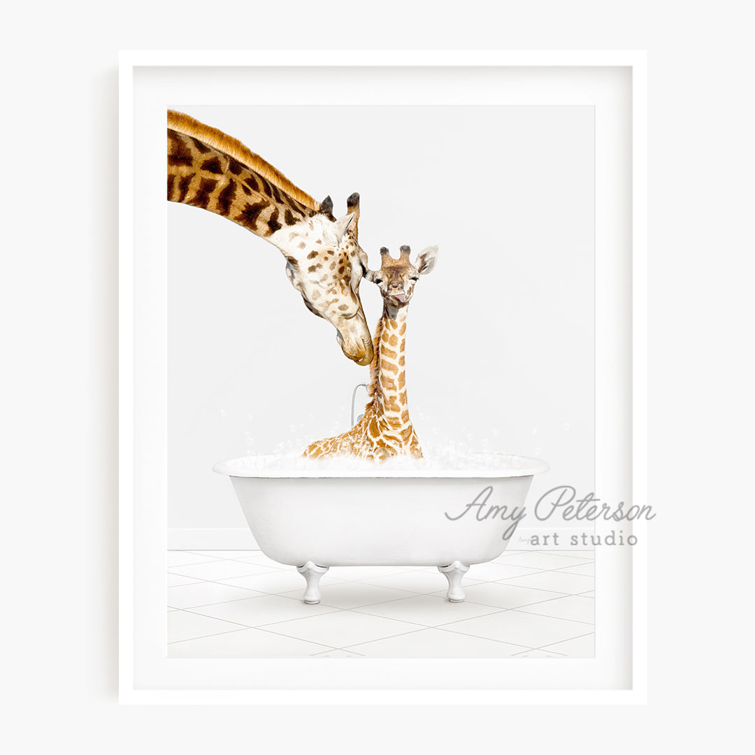 a picture of two giraffes in a bathtub