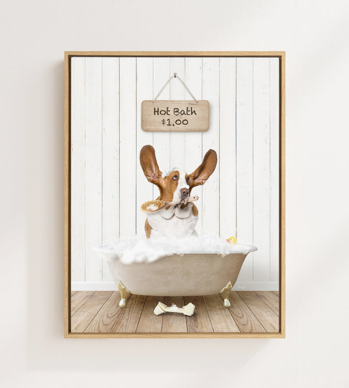 Basset Hound in Farmhouse Hot Bath