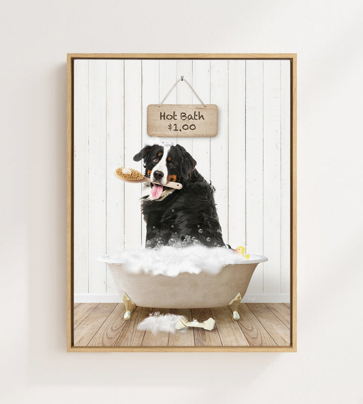 Bernese Mountain Dog in Farmhouse Hot Bath