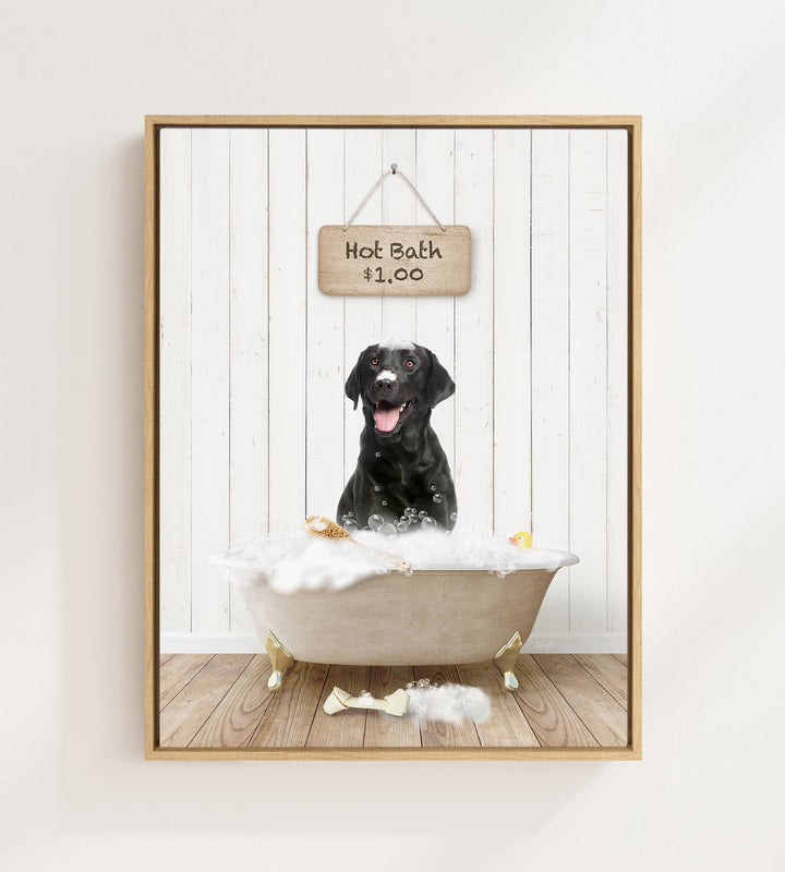 Black Lab in Farmhouse Hot Bath