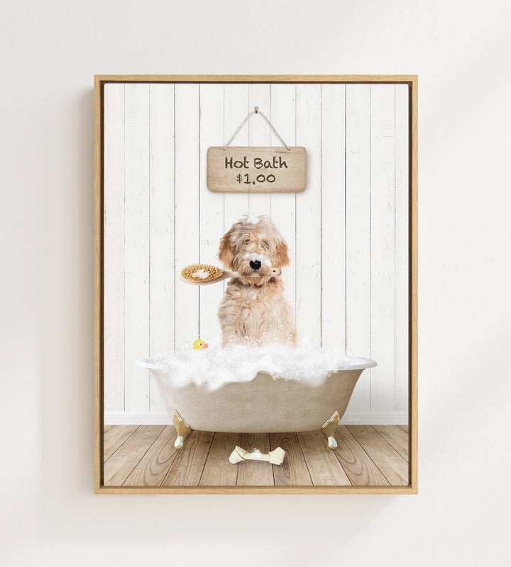 Blonde Labradoodle in Farmhouse Hot Bath