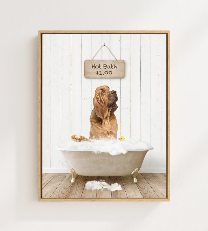 Bloodhound in Farmhouse Hot Bath