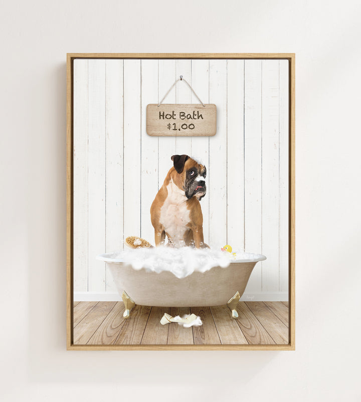 German Boxer in Farmhouse Hot Bath