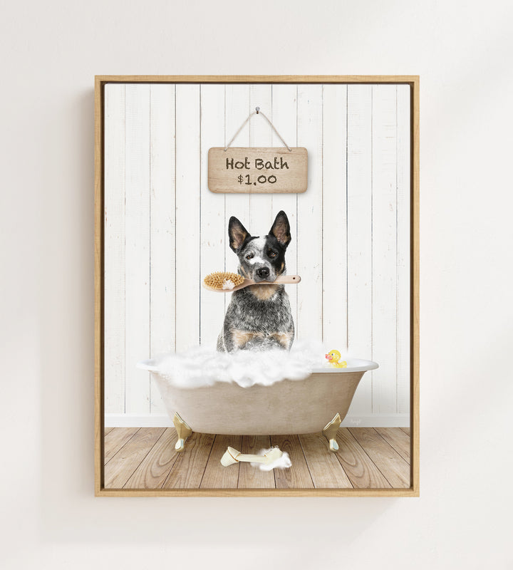 Cattle Dog in Farmhouse Hot Bath