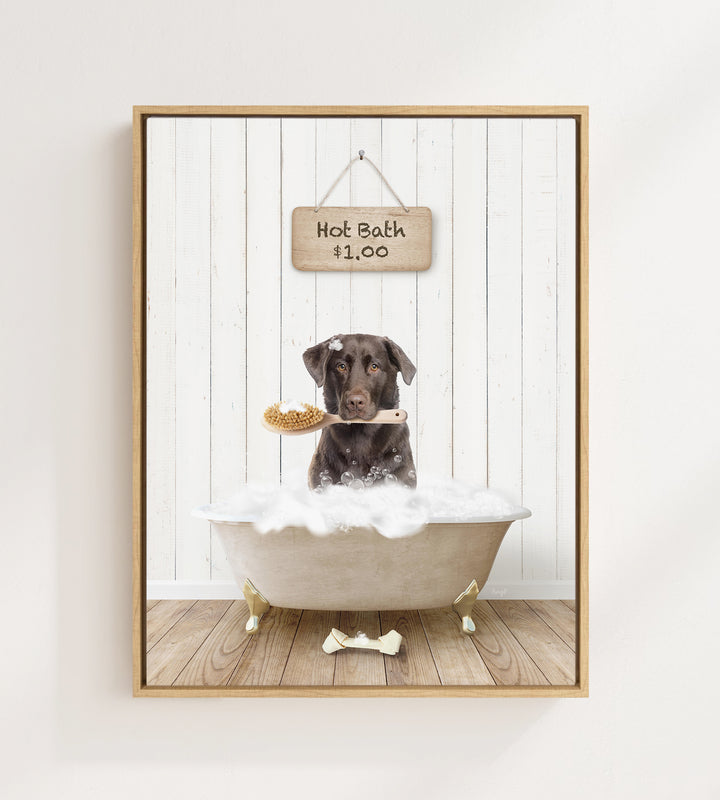 Chocolate Lab in Farmhouse Hot Bath