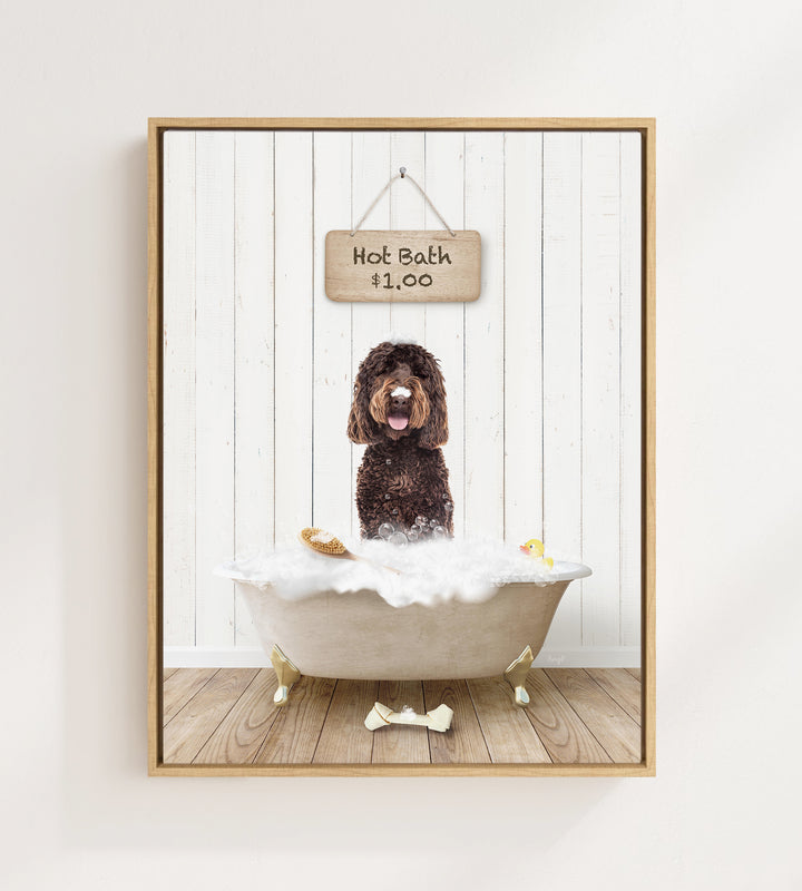 Chocolate Labradoodle in Farmhouse Hot Bath