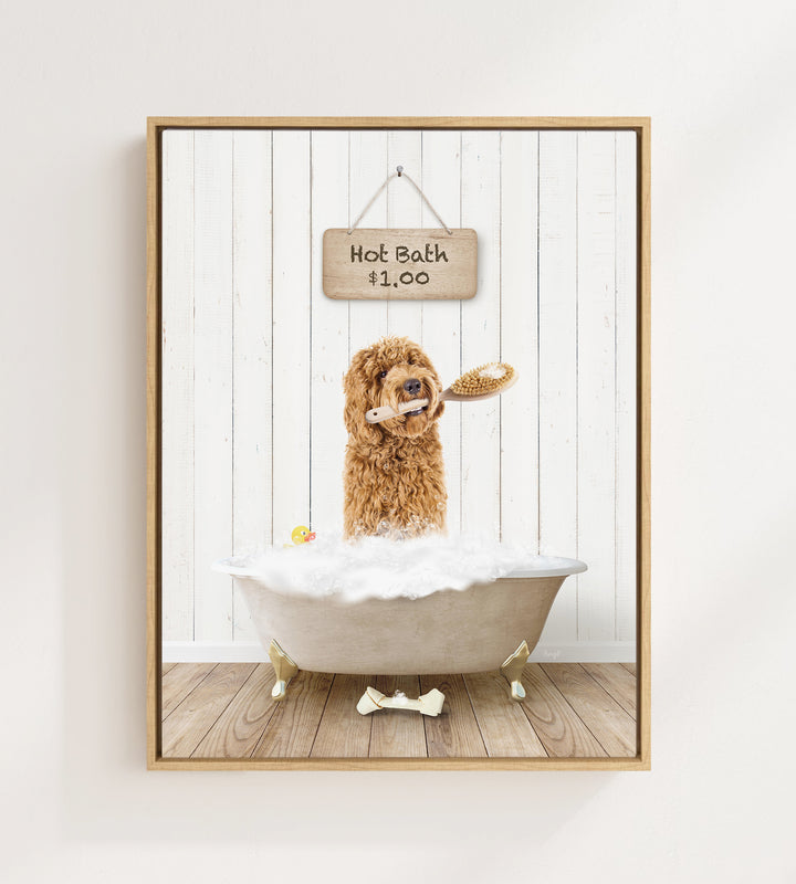Golden Labradoodle in Farmhouse Hot Bath