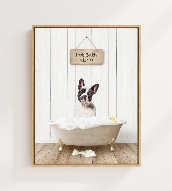 French Bulldog in Farmhouse Hot Bath