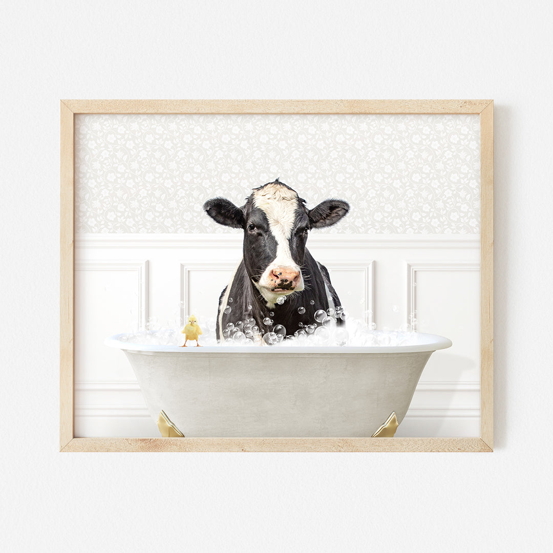 a black and white cow sitting in a bathtub