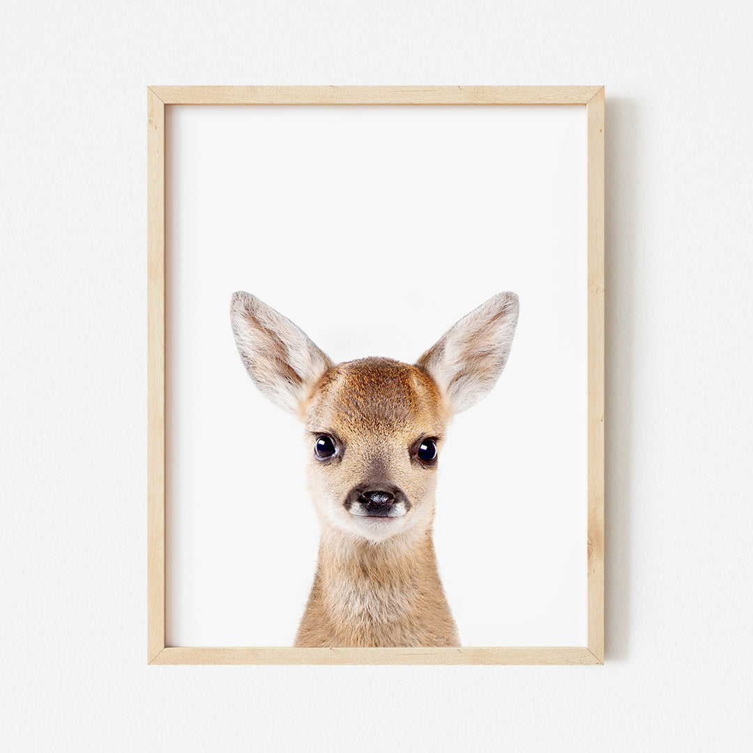 a deer's head is framed in a wooden frame