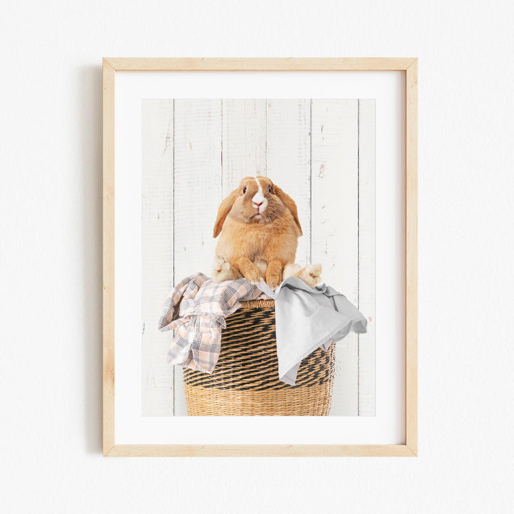 A brown rabbit sitting in a wicker basket filled with clothes.