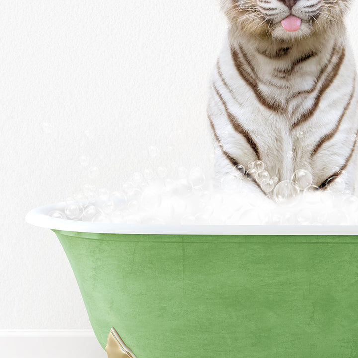 a white tiger sitting in a green bath tub