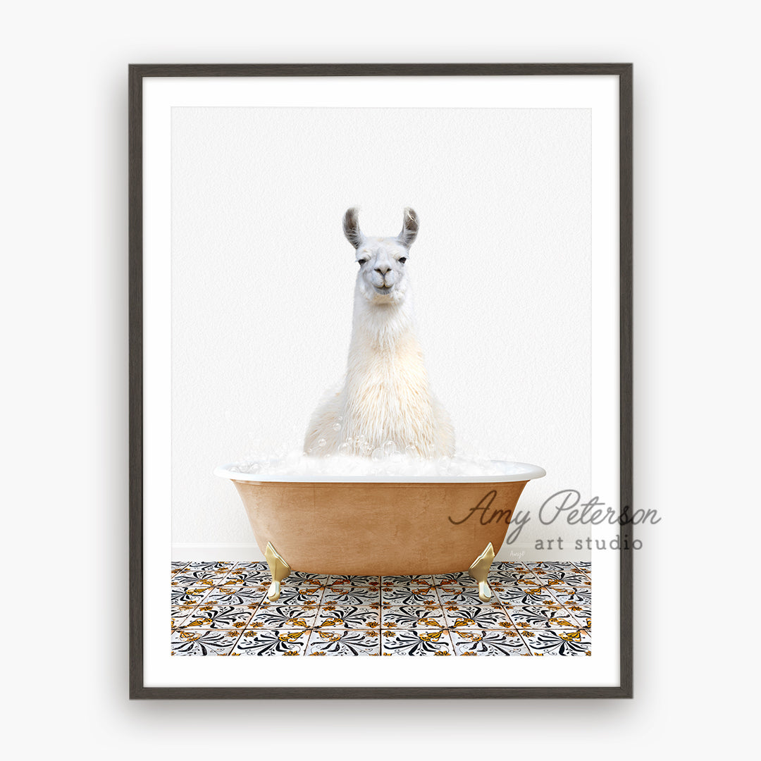 a llama sitting in a bathtub with a white background