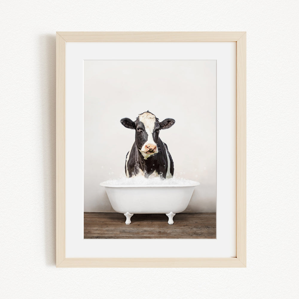 A black and white cow is sitting in a white bathtub filled with water, creating a whimsical and humorous scene.