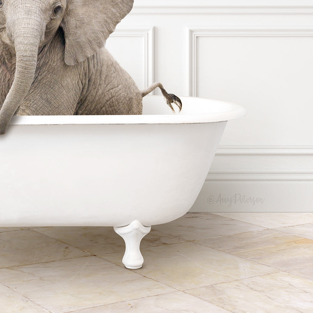 A large gray elephant is sitting in a white bathtub, with its trunk curled up and its legs tucked under its body.