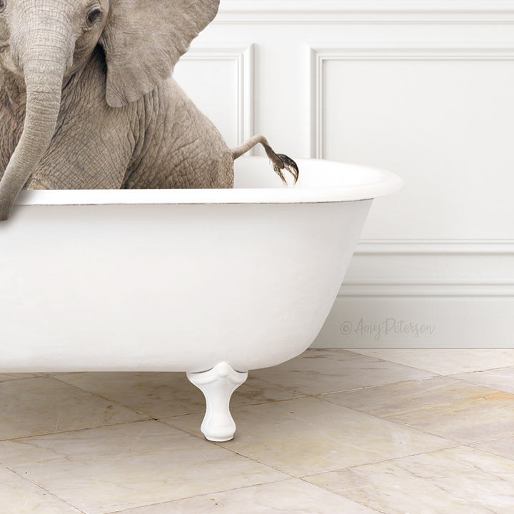 A large gray elephant is sitting in a white bathtub, with its trunk curled up and its legs tucked under its body.