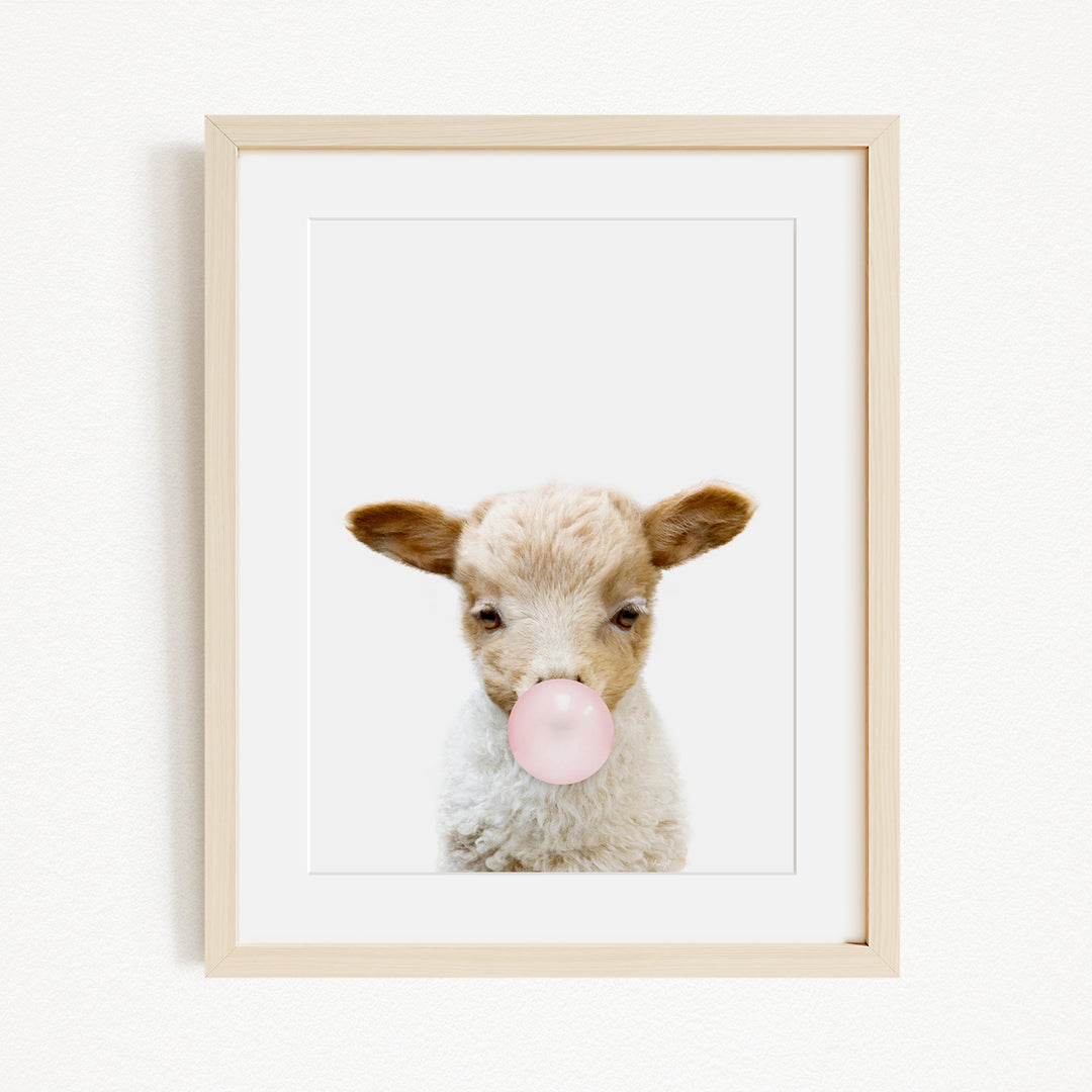 A framed image of a lamb blowing a bubble with a pink bubble gum bubble.