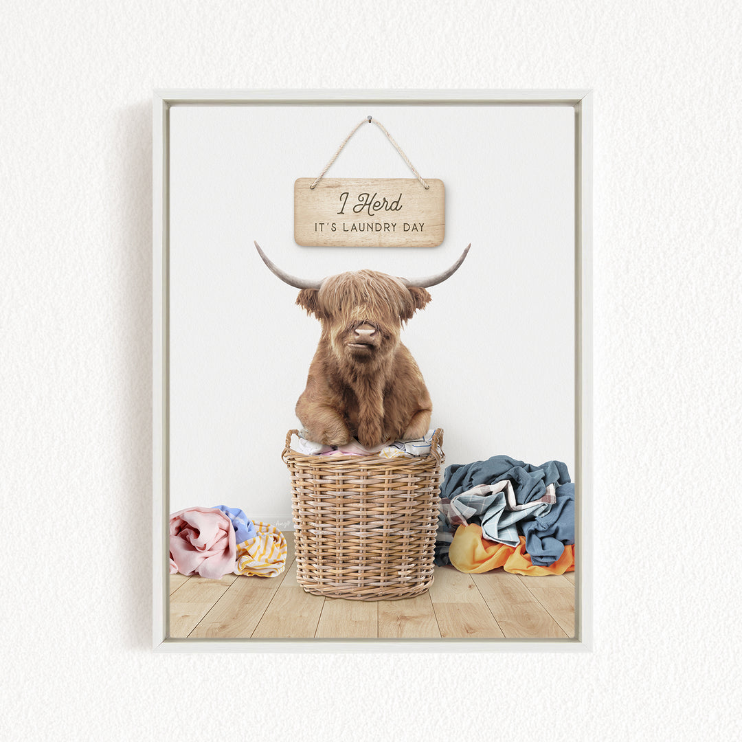 A Highland cow sits in a wicker basket filled with laundry, with a sign above it that says "I herd it's laundry day".