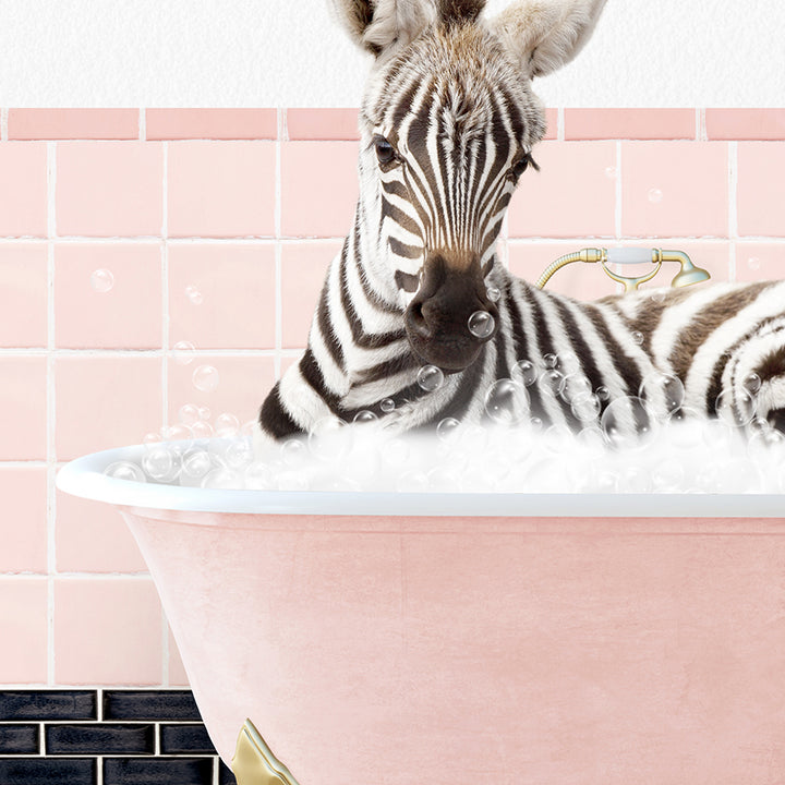 a baby zebra laying in a bathtub filled with bubbles