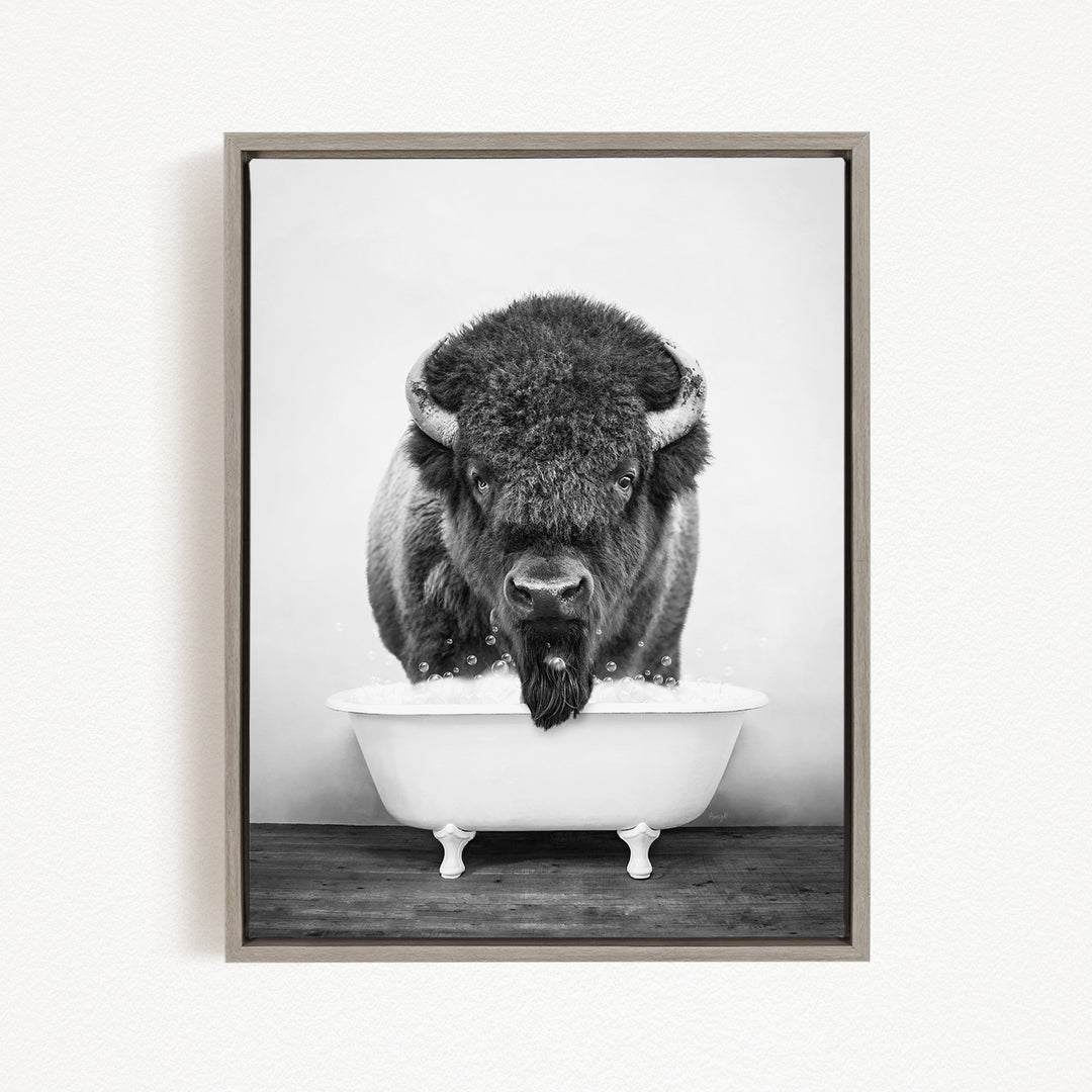 A black and white photograph of a buffalo standing in a bathtub filled with water, with its head and horns submerged.