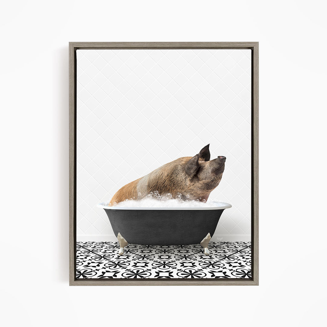 A pig sitting in a black bathtub filled with water, looking up at the camera.