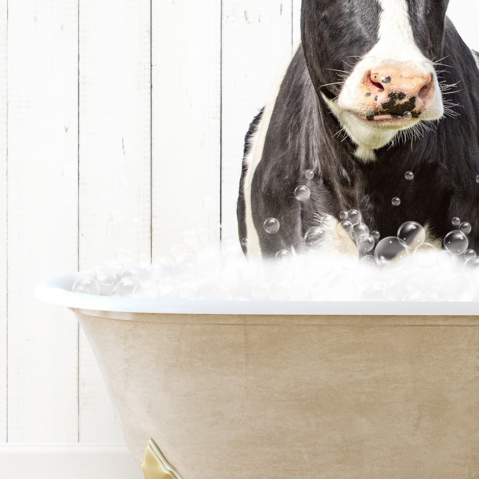 a black and white cow sitting in a bathtub filled with bubbles