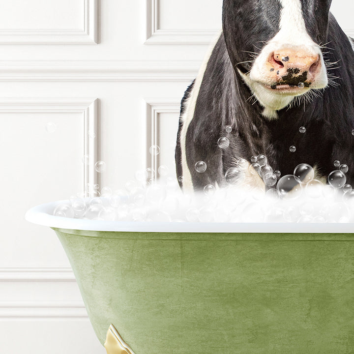 a black and white cow in a green bath tub